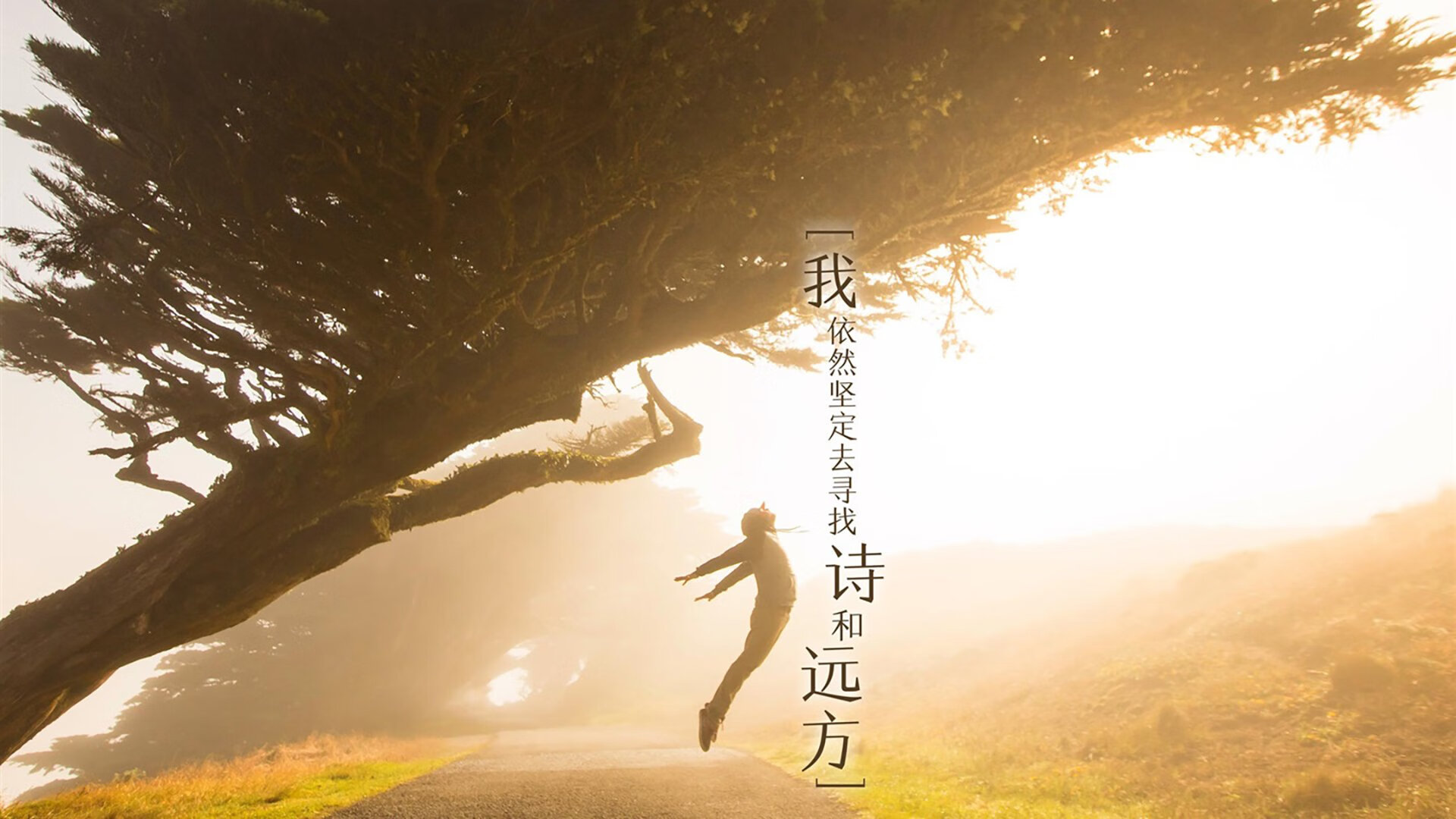 IM体育官方网站-巴西骑手乔治·费尔南德斯在巴黎奥运会三项赛中获得第十一名，创造个人最佳成绩。