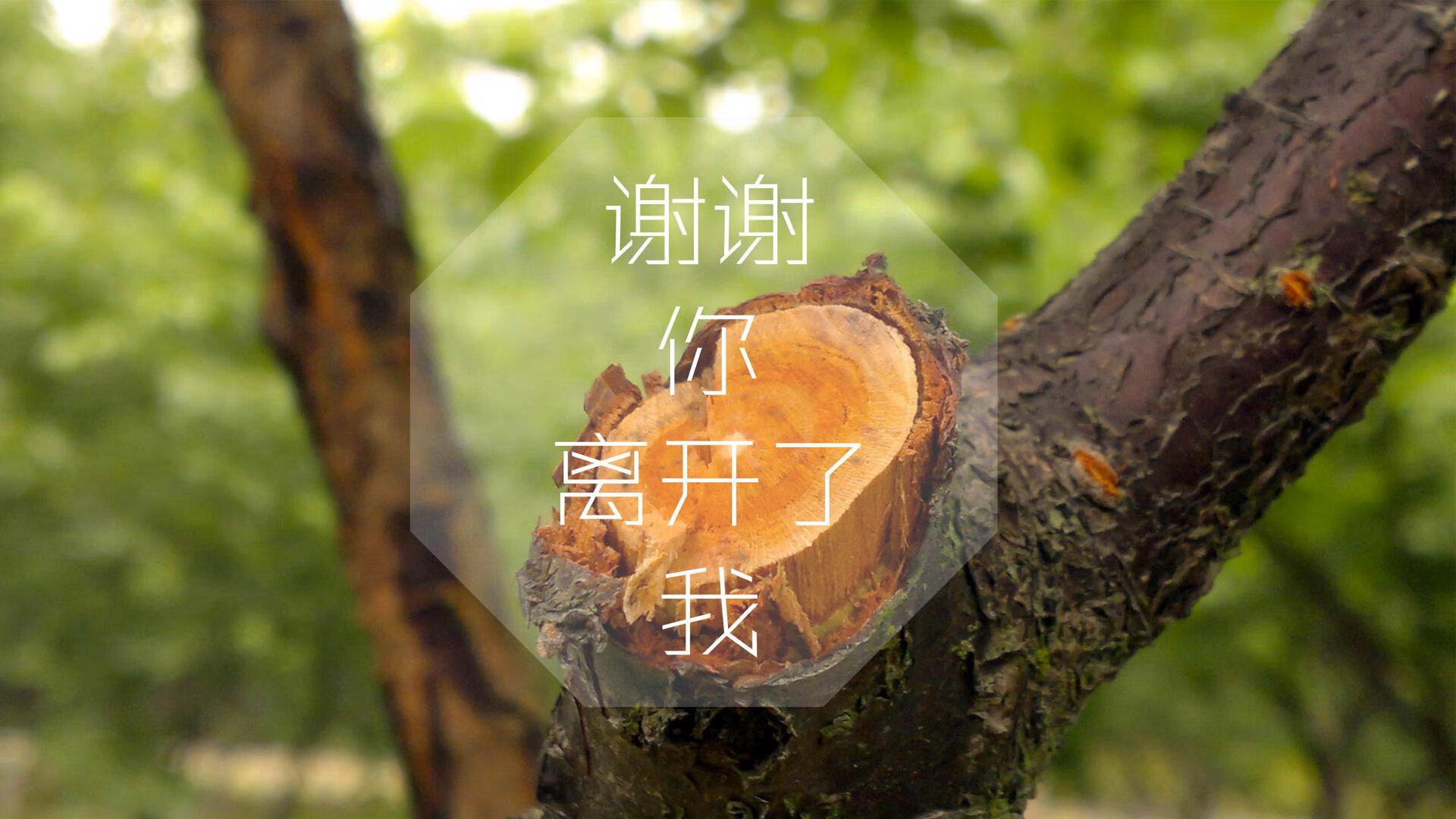 im体育官网首页-桑托斯中场核心发挥稳定，桑托斯f1