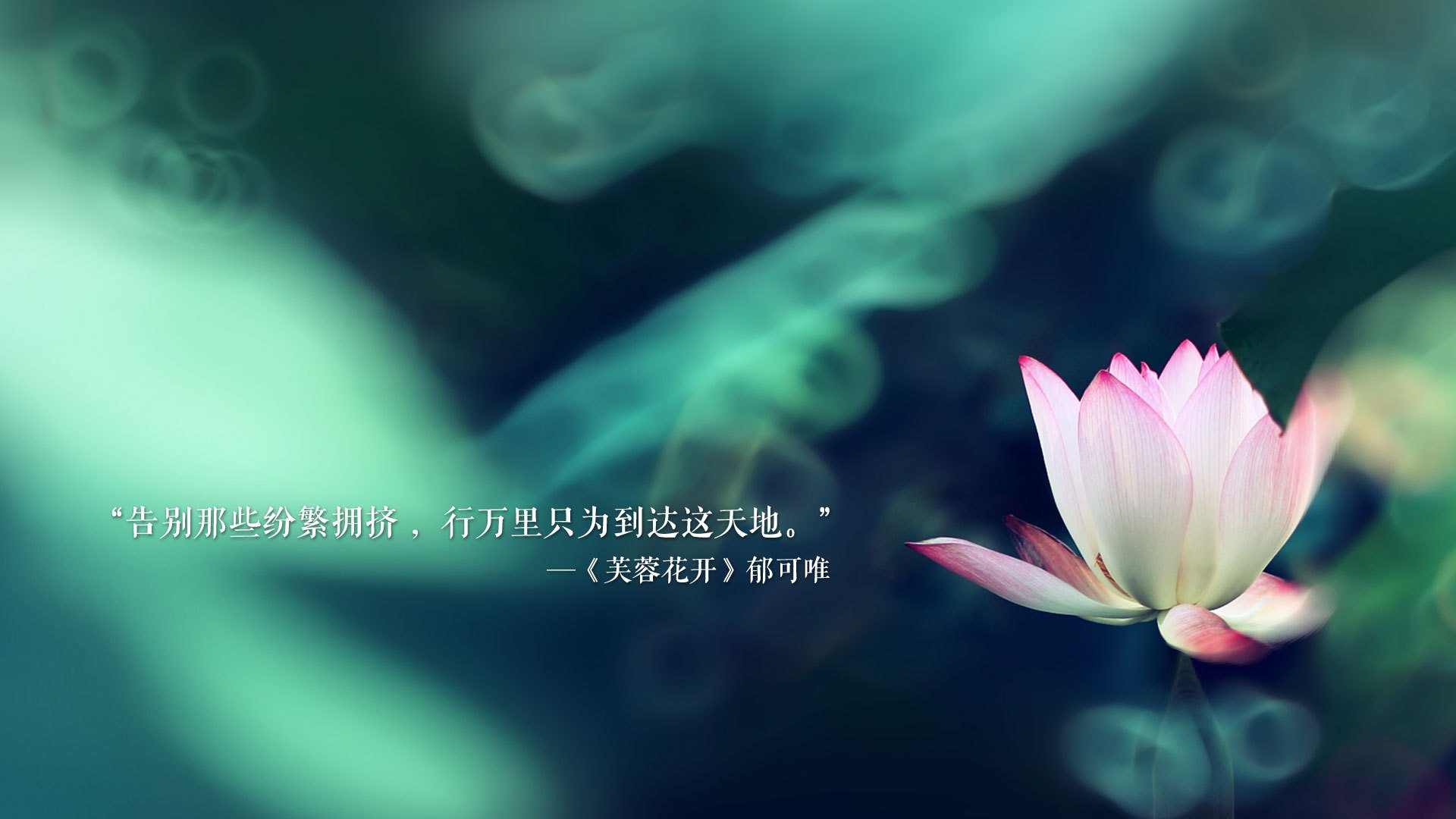 im体育官网登录-弗拉门戈U23新星斩获个人首球，弗拉门戈足球官网