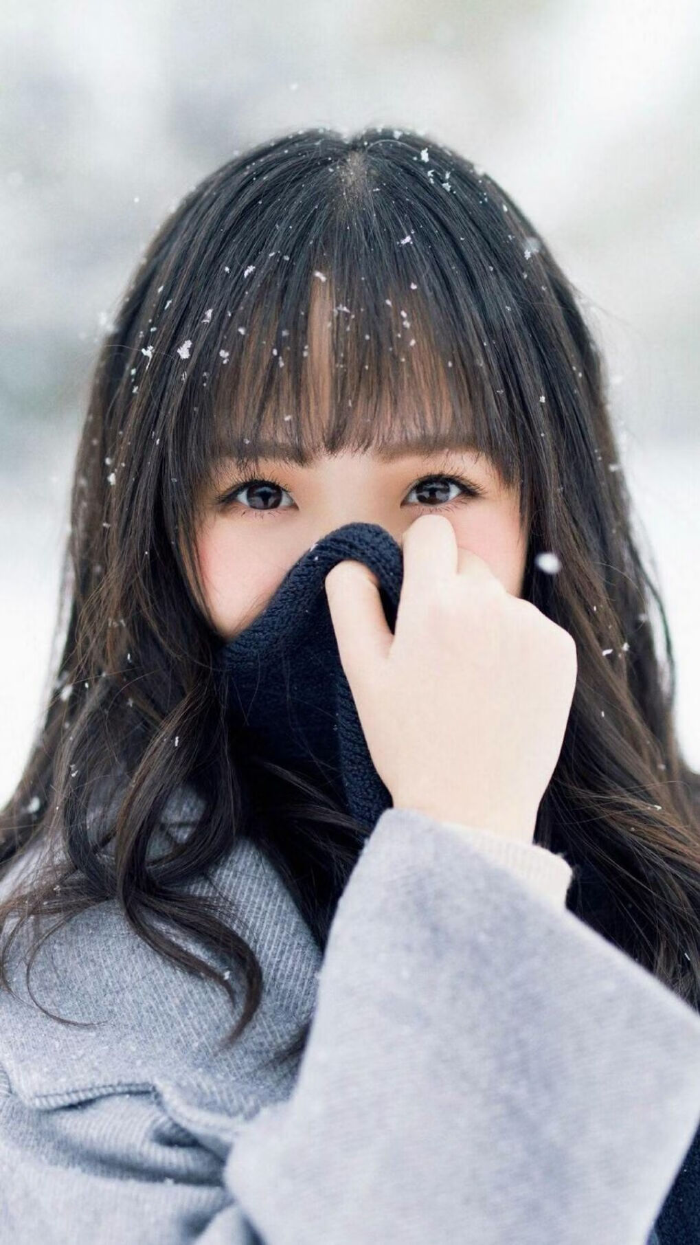 “华金·托比利亚的全能防守与快速突破，成就美洲狮队的防守核心”