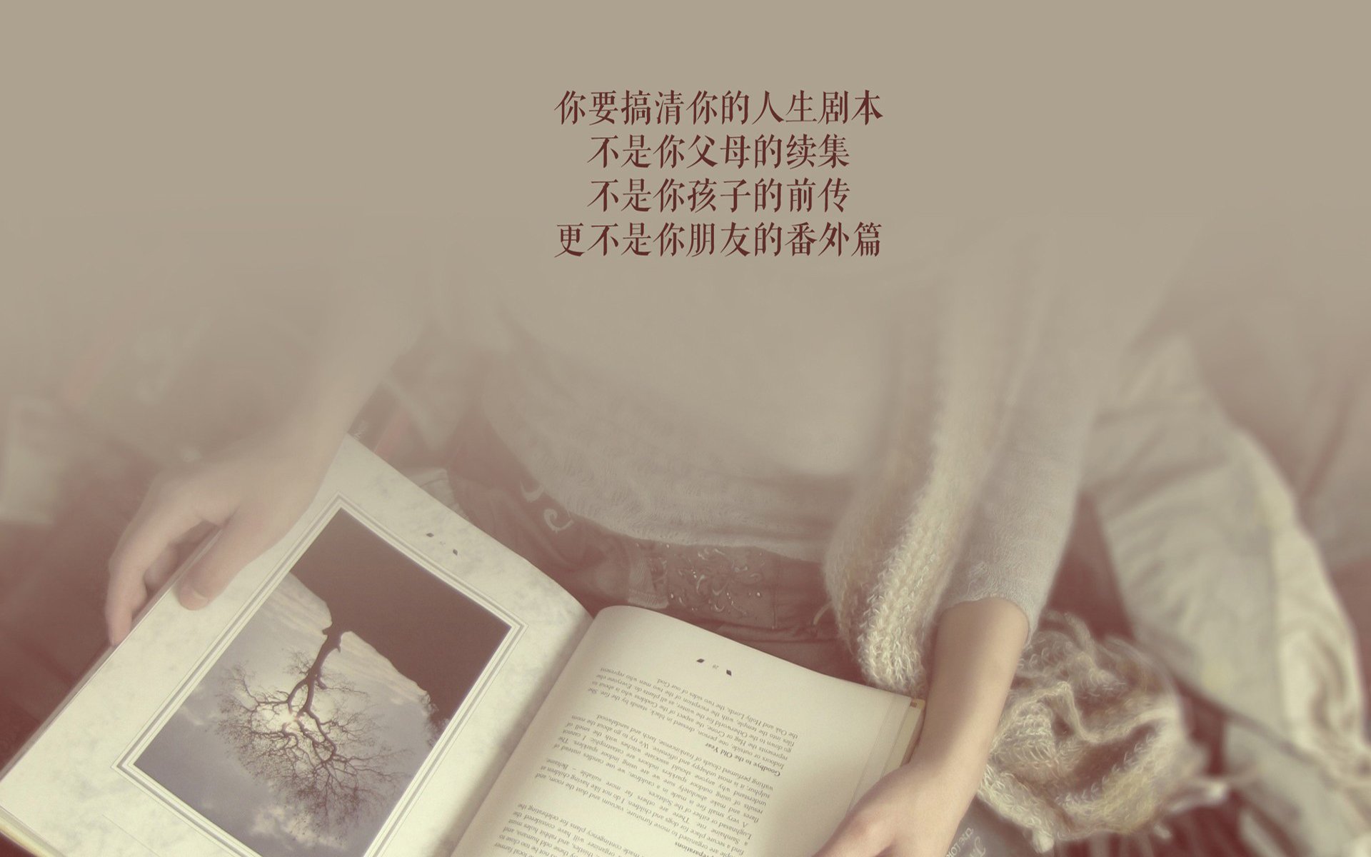 im电竞官方-“诺克·达维德·彼得森：南非羚羊队的未来领军人物”