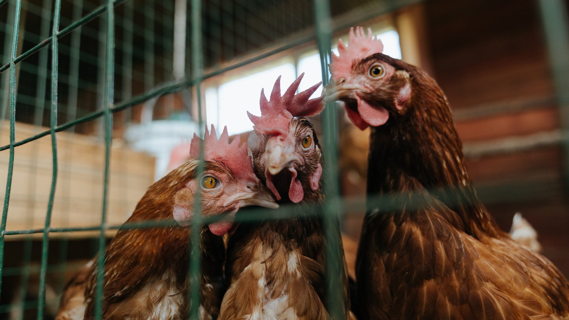 转身动作流畅,成绩持续提升,转身的动作关键是什么带动躯干