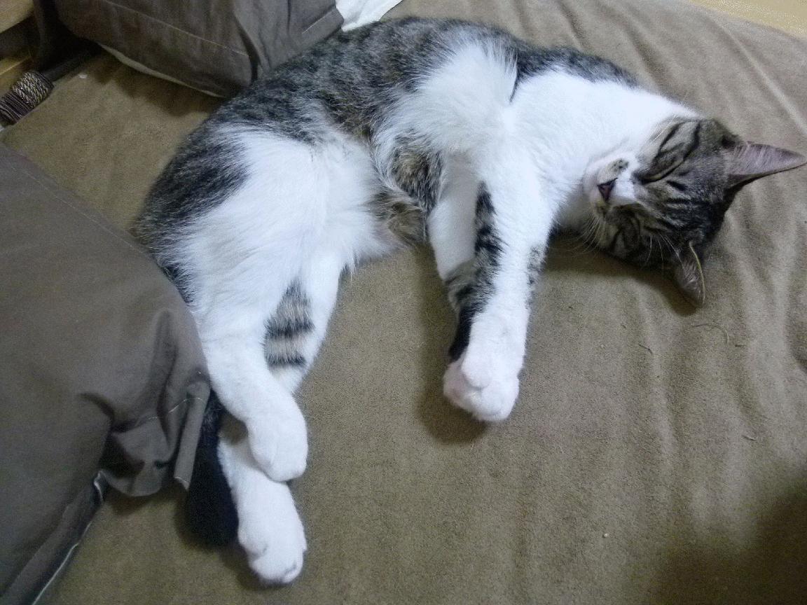 阿森纳青训不断成长,潜力巨大