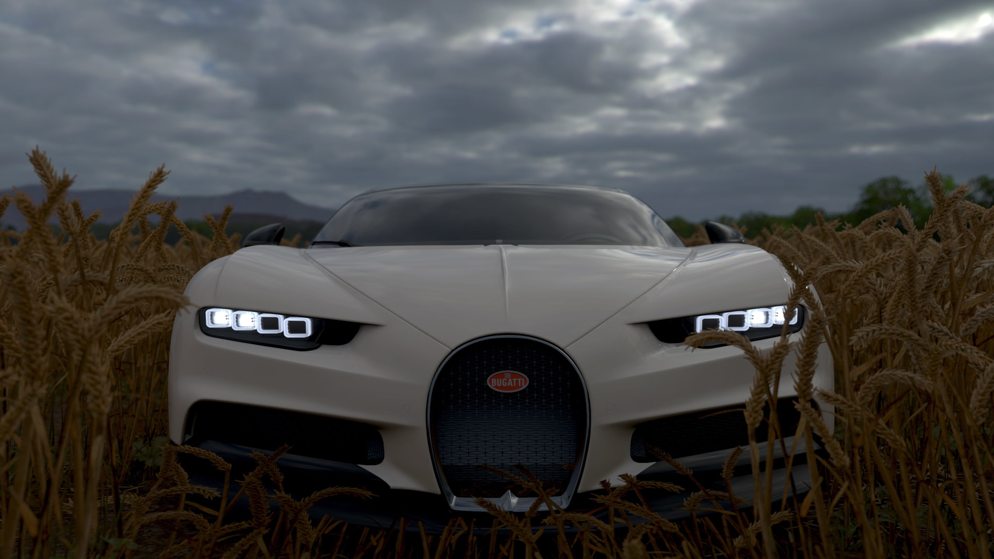 自由泳接力荷兰女队冲进前三,女子4×200自由泳接力视频